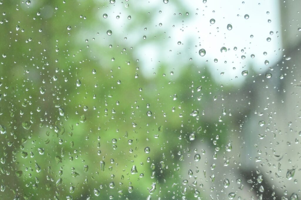 雨の日の行動心理とその対策