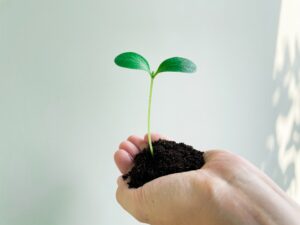 LINEナーチャリング施策とは？LINEを使うメリットや顧客育成のポイントを解説