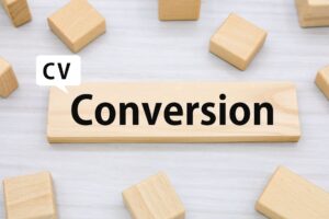 Google広告のコンバージョン設定方法を徹底解説！正しい手順とポイントを紹介｜CATS株式会社